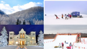 2024年北海道雪上活动地点推荐4选！今年就将玩雪纳入必玩清单吧